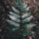 158彩集团在数字化转型中的机遇与挑战分析 2j957