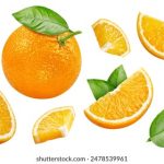 196体育官网:探索最新体育赛事和精彩直播的最佳平台 85ifndrgh4