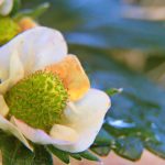 196.co.的成功故事:从初创企业到行业领军者的历程 jovh4b