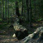 196体育app官网的用户指南:注册、使用与常见问题解答 tc2jet92