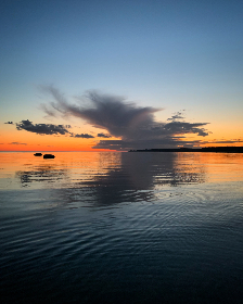 196.top的潜力:在数字时代如何选择合适的域名