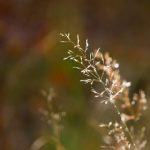 1122体育app官网的优势分析:为何成为用户首选的体育平台 zm9jgf